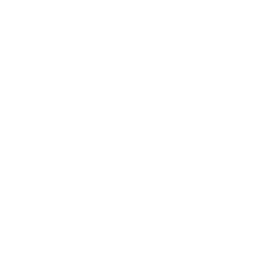 Play Button
